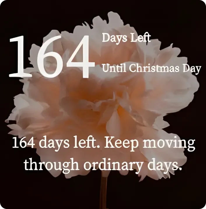 Soulful Countdown widget on Android home screen